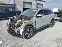 KNDRMDLH3P5206074 2023 KIA SORENTO