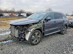 KNDRMDLH4N5063990 2022 KIA SORENTO