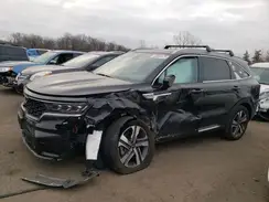 KNDRMDLH5P5135735 2023 KIA SORENTO
