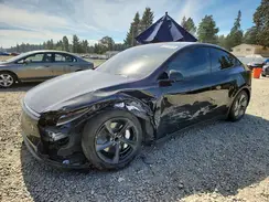 LOT-3-68249376 2026 TESLA MODEL Y