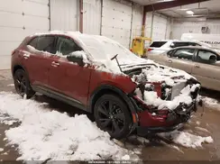 LRBFZPE42RD051556 2024 BUICK ENVISION