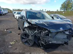 LRBFZPE43RD062047 2024 BUICK ENVISION