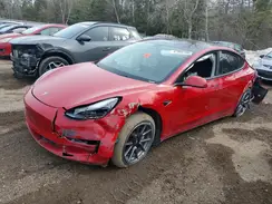 LRW3E1EB2PC876248 2023 TESLA MODEL 3