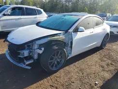 LRW3E1EB3PC843694 2023 TESLA MODEL 3