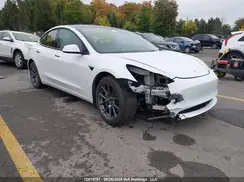 LRW3E1EB5PC843776 2023 TESLA MODEL 3