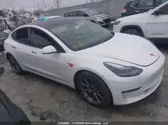 LRW3E1EBXPC921551 2023 TESLA MODEL 3
