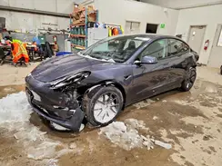 LRW3E1EBXPC924868 2023 TESLA MODEL 3