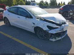 LRW3E1FA0PC891661 2023 TESLA MODEL 3