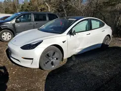 LRW3E1FA0PC921516 2023 TESLA MODEL 3