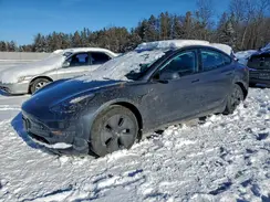 LRW3E1FA2PC891743 2023 TESLA MODEL 3