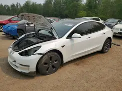LRW3E1FA4PC920658 2023 TESLA MODEL 3