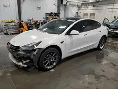 LRW3E1FA5PC843864 2023 TESLA MODEL 3