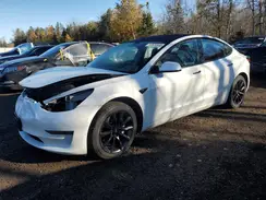 LRW3E1FA6PC843047 2023 TESLA MODEL 3