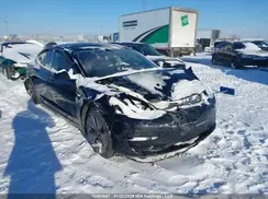 LRW3E1FA7PC920816 2023 TESLA MODEL 3