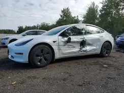 LRW3E1FA8PC876230 2023 TESLA MODEL 3