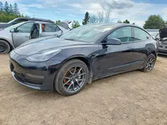 LRW3E1FA8PC899782 2023 TESLA MODEL 3