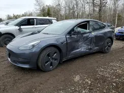 LRW3E1FA8PC900185 2023 TESLA MODEL 3