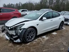 LRW3E1FA9PC845777 2023 TESLA MODEL 3
