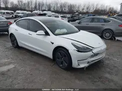 LRW3E1FA9PC875698 2023 TESLA MODEL 3