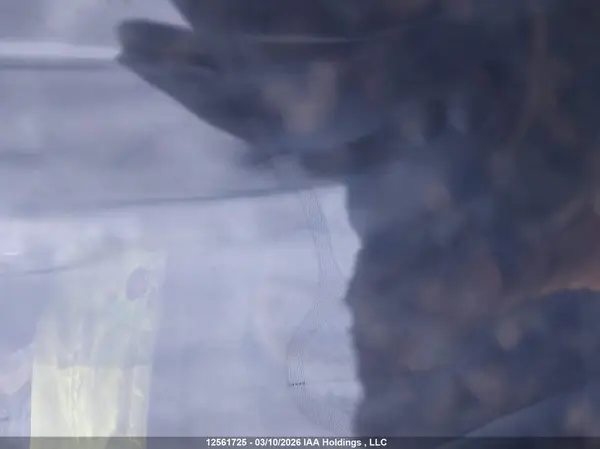 LRW3E7EB9RC135617 2024 TESLA MODEL 3 - Image 8