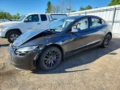 LRW3E7EBXRC262571 2024 TESLA MODEL 3