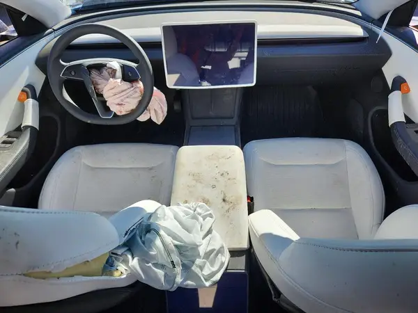 LRW3E7EBXRC262571 2024 TESLA MODEL 3 - Image 8