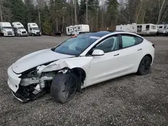 LRW3E7FA1RC058005 2024 TESLA MODEL 3