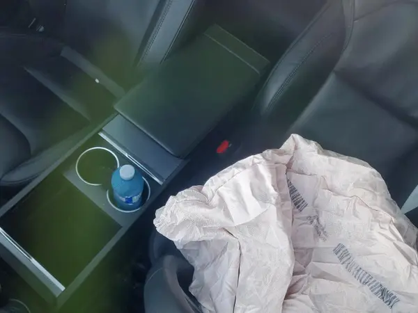 LRW3E7FA4RC088938 2024 TESLA MODEL 3 - Image 8