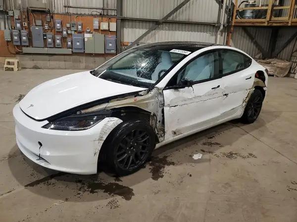 LRW3E7FA7RC102508 2024 TESLA MODEL 3 - Image 1