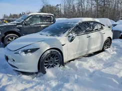 LRW3E7FA8RC263210 2024 TESLA MODEL 3