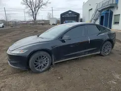 LRW3E7FAXRC262592 2024 TESLA MODEL 3