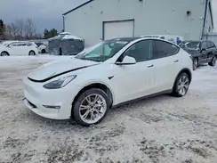 LRWYGDEE0PC028669 2023 TESLA MODEL Y