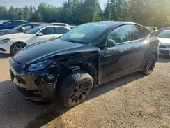 LRWYGDEE0PC105007 2023 TESLA MODEL Y