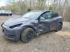 LRWYGDEE1PC162543 2023 TESLA MODEL Y