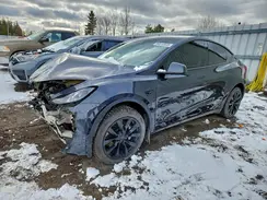 LRWYGDEE1RC670496 2024 TESLA MODEL Y