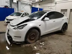 LRWYGDEE2PC079557 2023 TESLA MODEL Y
