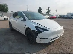 LRWYGDEE5PC005856 2023 TESLA MODEL Y