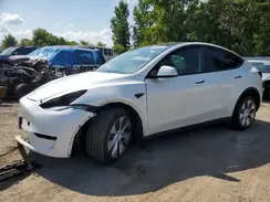 LRWYGDEE5PC028568 2023 TESLA MODEL Y