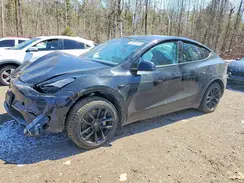 LRWYGDEEXPC266657 2023 TESLA MODEL Y