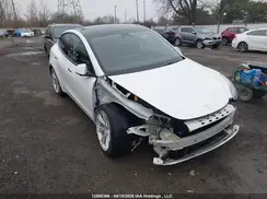 LRWYGDFD0PC902766 2023 TESLA MODEL Y