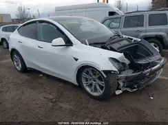 LRWYGDFD0PC967097 2023 TESLA MODEL Y
