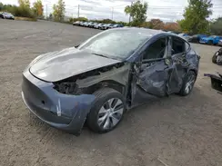 LRWYGDFD1PC221127 2023 TESLA MODEL Y