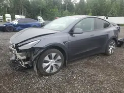 LRWYGDFD2PC162377 2023 TESLA MODEL Y
