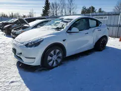LRWYGDFD2PC939804 2023 TESLA MODEL Y