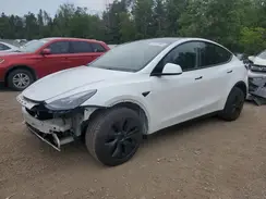 LRWYGDFD7RC639369 2024 TESLA MODEL Y