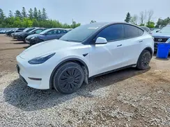 LRWYGDFDXPC901706 2023 TESLA MODEL Y