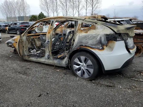 LRWYGDFDXPC902306 2023 TESLA MODEL Y - Image 2