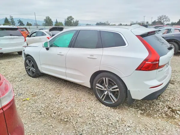 LYV102DK1KB242832 2019 VOLVO XC60 - Image 2