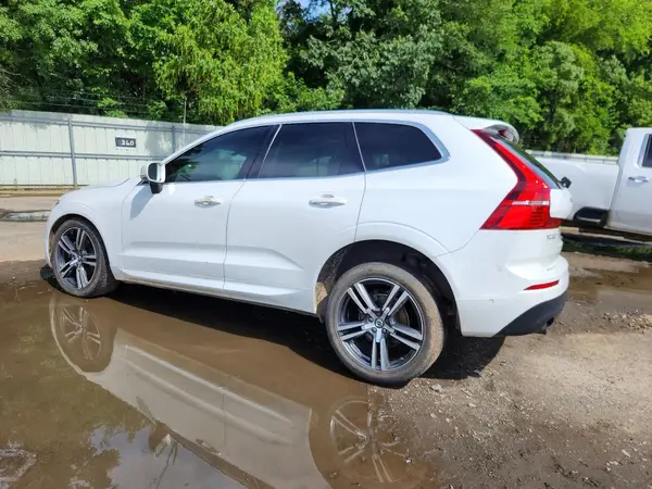 LYV102DK6KB247816 2019 VOLVO XC60 - Image 2