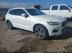 LYV102DK7KB331806 2019 VOLVO XC60